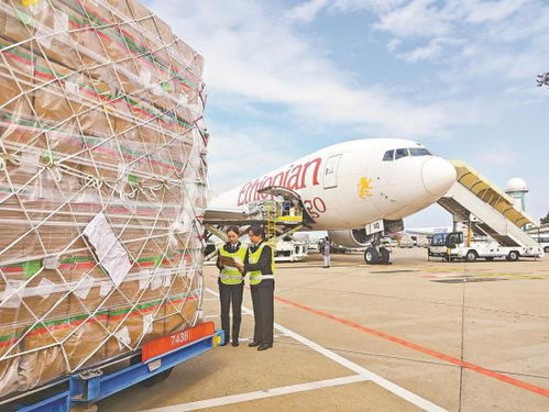 國內首條金磚跨境電商空運專線累計出口包裹突破4700萬件，助推經貿合作提質升級